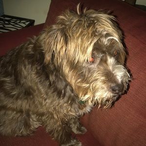 Meet your Posher, Ella